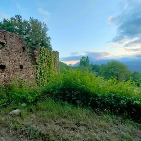 Tatil Evi Grappolonero