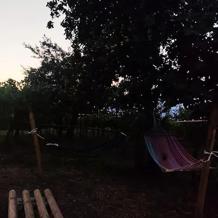 Grappolonero Laino Castello