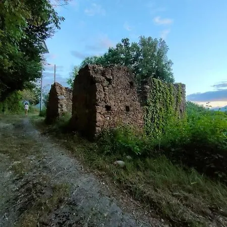 Grappolonero * Laino Castello